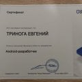 Курс стоит своих денег