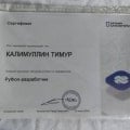 Python-разработка в Urban университете мне понравилась.