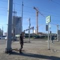 Рядом классный лес