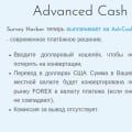 Широкая система выплат - выгодное отличие от других опросников