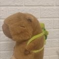 Интересные конкурсы и отличные призы