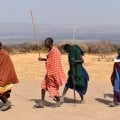 Отзыв о Турагентство Сафари Занзибари: Давно мечтали и слетали в Африку.