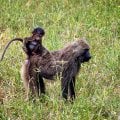 Море впечатлений! Спасибо за грамотно подобранный тур