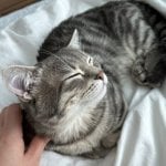 Колдаева Светлана