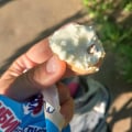 Посторонние предметы