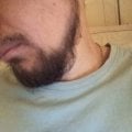 Лучшее средство за адекватную цену