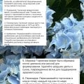 Прекрасный сервис, огромный ассортимент и классные магазины.