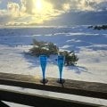 Отзыв о Туроператор Гурман тревел: Гастрономический тур в Калининград 3-7 января 2026