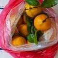 Отзыв о Foodrynok: Прекрасное качество продуктов