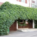 Отзыв о Агентство недвижимости Татьяны Мамонтовой: Отличный риэлтор!