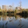 Отзыв о Агентство недвижимости Татьяны Мамонтовой: 100% результат!