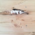 Плохое качество работ. Вымогают деньги