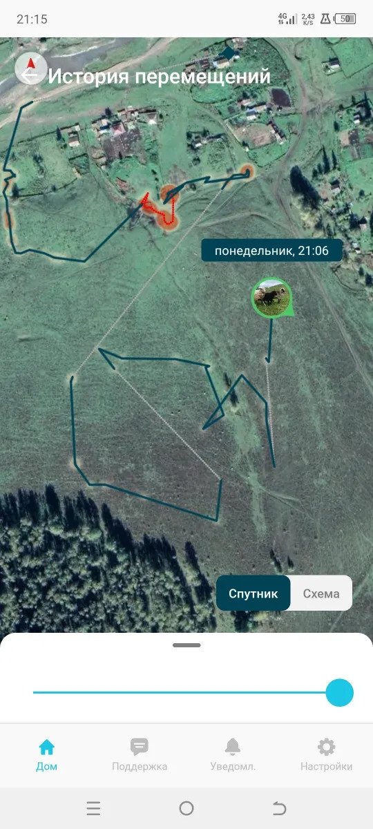 Petsee – GPS-ошейники для собак и кошек - Замечательный трекер