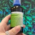 Бронхипрет выручил перед конференцией