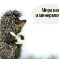 Отзыв о Сайт знакомств ЗНАКОМСТВА-ПРОСТО znakomstva-prosto.com: Бывает разное) это жизнь
