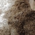 Вот это все делают доярки ,плюс кормят и убирают у телят .А скотники посыпают опилками и скребут