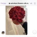 Ужасный сервис и компания